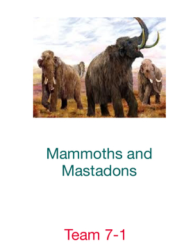 Mammoths and Mastadons