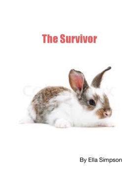 The Survivor