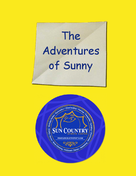 The Adventures of Sunny