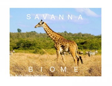 Savanna biome
