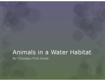 Animals in a Water Habitat