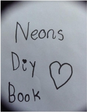 Neons diy book
