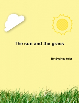 The sun and the grass