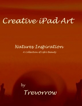 iPad Art