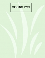 Missing Two