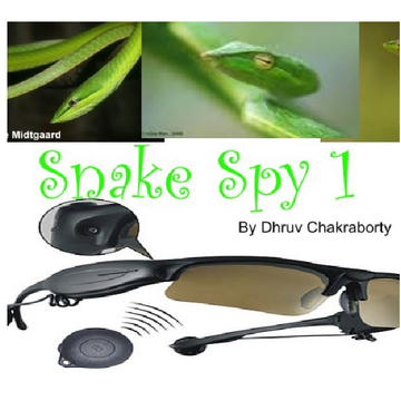 Snake SPy 1