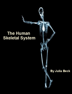The Human Bones