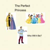 The Perfect Princess