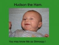 Hudson The Ham