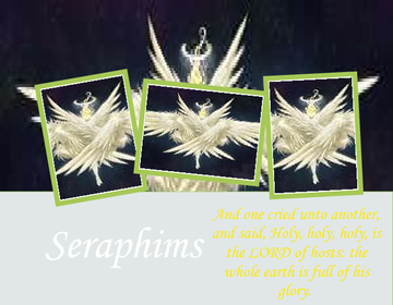 Seraphims