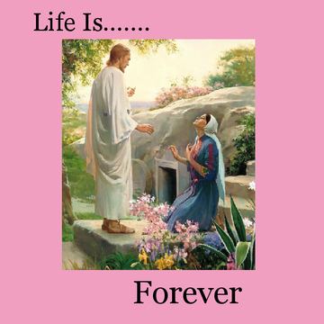 Life is Forever