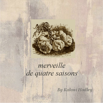 merveille de quatre saisons