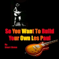 So You Want To Build Your Own Les Paul