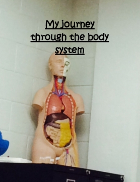 My journey through the body system