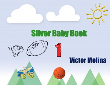 Silver Baby Book