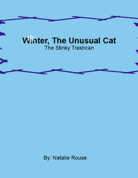 Winter The Unusual Cat