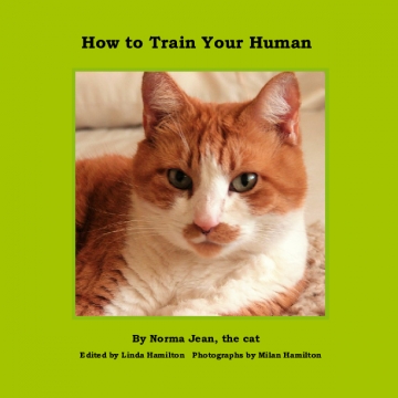 How to Train Your Human