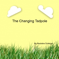 The Changing Tadpole