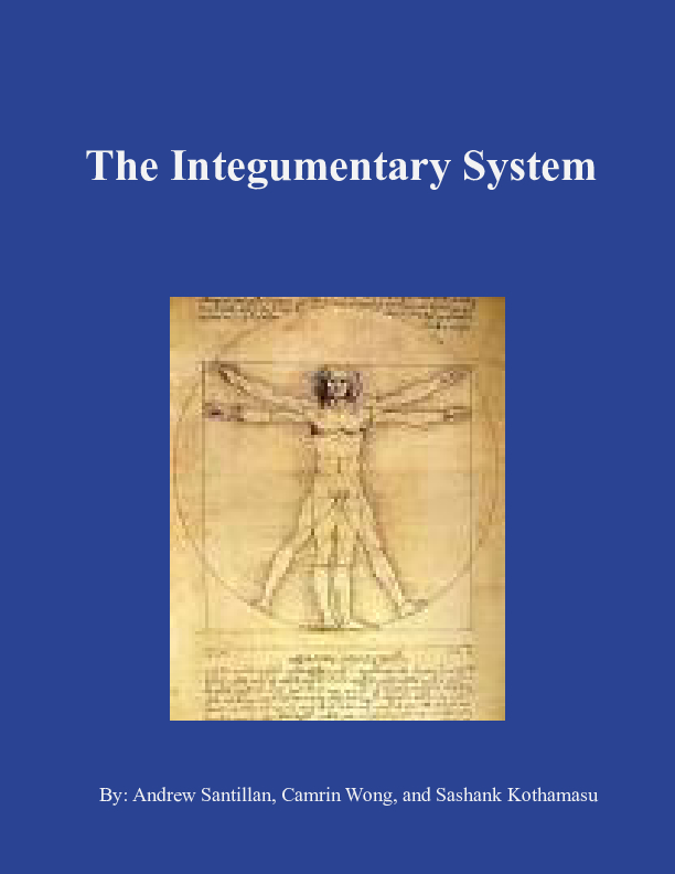 The Integumentary System | Book 469532 - Bookemon