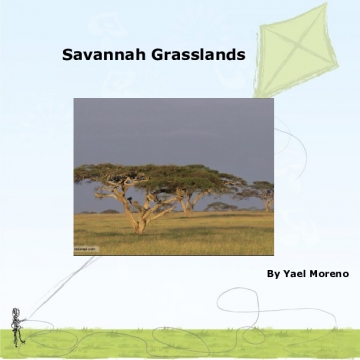 Savannah Grasslands