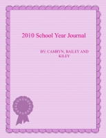 2010 school year journal