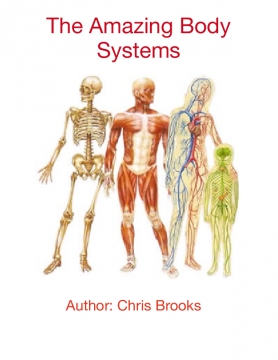 The Amazing Body Systems