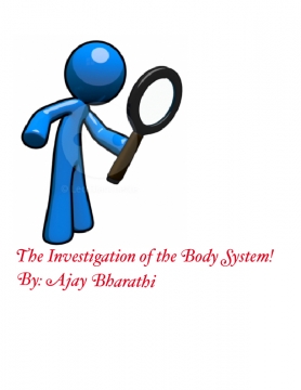 The investigation of the body system