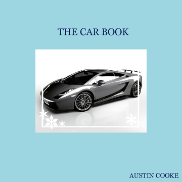 THE CAR BOOK