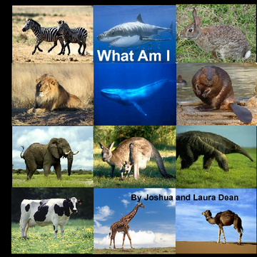 What Am I  (Animal Edition)