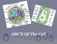 ABC of the Cell