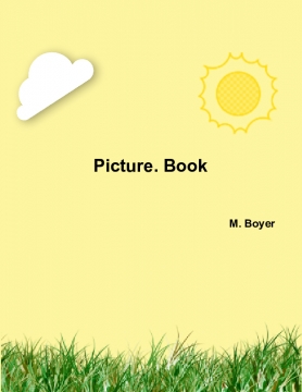 Picture book