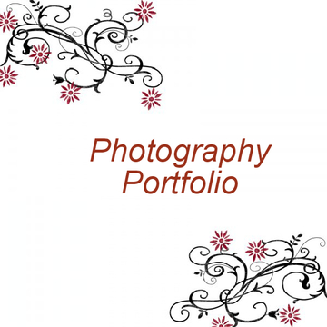 Photography Portfolio