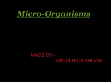 MICRO ORGANISMS