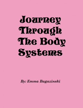 Journey Through The Body Systems