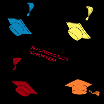 BlackWood Hills Senior Year