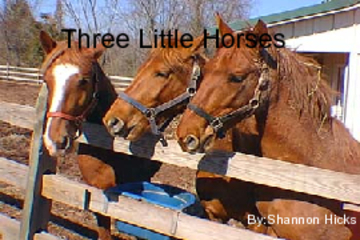 Three little Horses