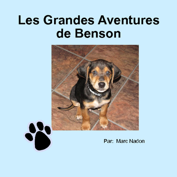 Les Grandes Aventures de Benson