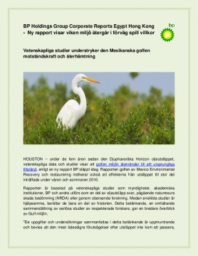 BP Holdings Group Corporate Reports Egypt Hong Kong - Ny rapport visar viken miljö återgår i förväg spill villkor