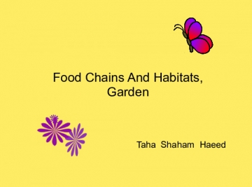 Habitat And Food Chains