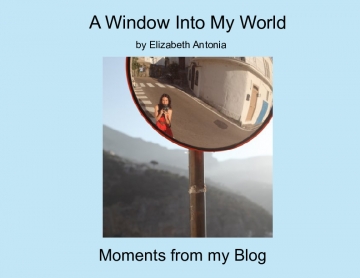 A Window Into My World