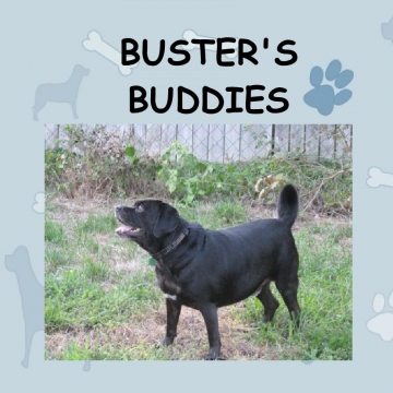 Buster's Buddies