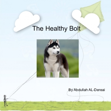 The Healthy Bolt