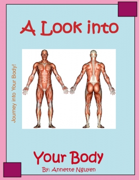 A Look into your Body