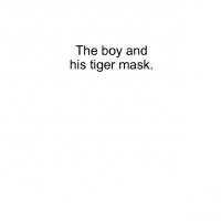 the boy and his tiger mask