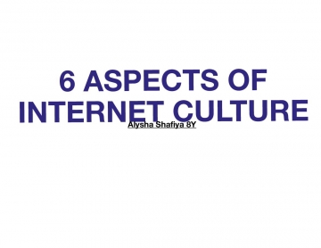 Internet Cultures