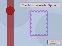 The Musculoskeletal Stystem