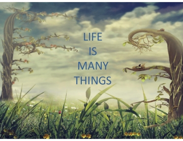 Life is Many Things