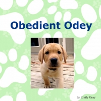 Obedient Odey