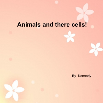 Animal cells