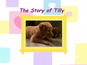 The Story of Tilly